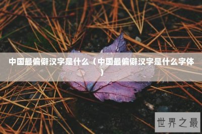 ​中国最偏僻汉字是什么（中国最偏僻汉字是什么字体）