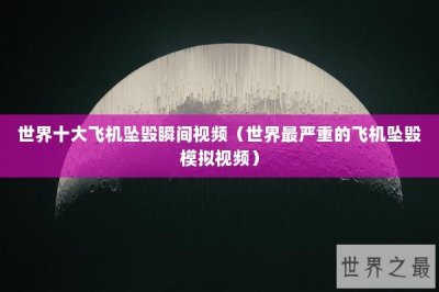 ​世界十大飞机坠毁瞬间视频（世界最严重的飞机坠毁模拟视频）