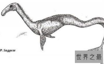 ​卡布罗龙形态特征介绍 曾有人目击它的出现
