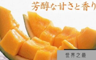 ​世界上最贵的水果排名 最贵7.3万一个