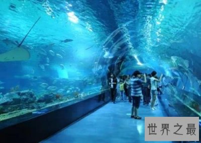 ​世界上最大室内海洋展馆，占地200多亩！