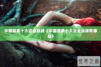 ​中国尿素十大企业品牌（中国尿素十大企业品牌有哪些）