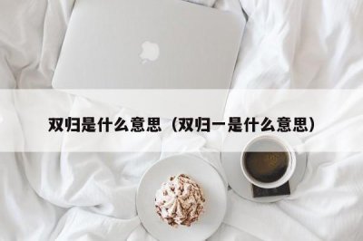 ​双归是什么意思（双归一是什么意思）