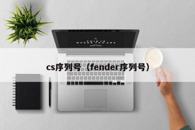 ​cs序列号（fender序列号）