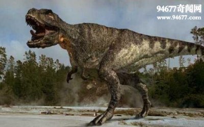 ​史上最全恐龙之最，霸王龙称霸数个时代的最强生物