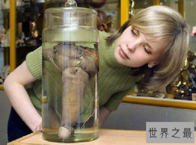 ​“大吊妖僧”拉斯普京（长达28.5cm）真的具有超能力吗