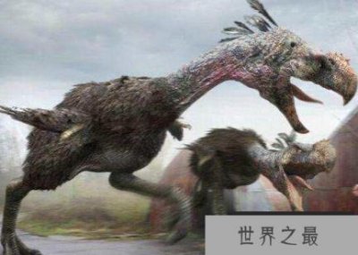 ​史上最恐怖的鸟，没有能与之对抗的掠食者
