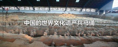 ​中国的世界文化遗产兵马俑 文化价值 中国的世界文化遗产兵马俑 作文两百字儿