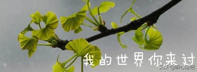 我的世界从此以后不再有你（我的世界你来过）(2)