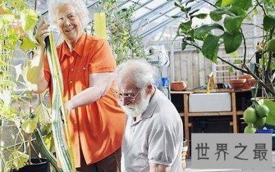 ​世界上最长的黄瓜，英国老太种出长1.19米黄瓜(图)
