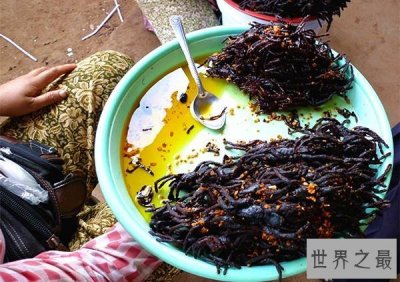 ​世界十大虫类美食，油炸毒蜘蛛最好吃(色香味俱全)