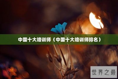 ​中国十大培训师（中国十大培训师排名）