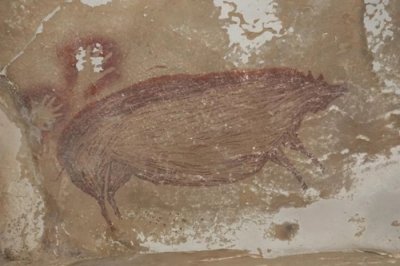 ​印尼苏拉威西岛Leang Tedongnge洞穴发现4.55万年前冰河时期疣猪壁画 或出自