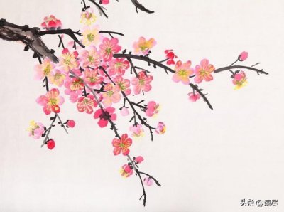 ​带有梅花的诗句（描写梅花美景的经典古诗介绍）