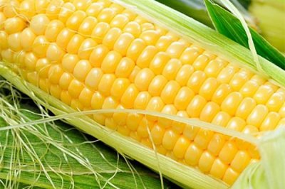 ​玉米煮多久能煮熟 玉米怎么看煮熟没熟