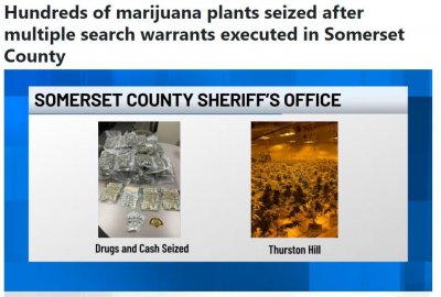 ​廖佳敏涉嫌种“草”被捕，纽约州等地有多处房产