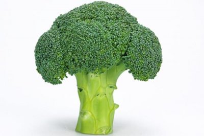 ​西兰花是什么季节的菜 西兰花属于发物吗