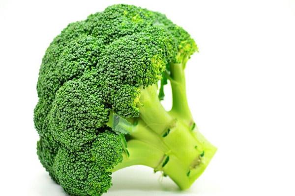 西兰花是什么季节的菜 西兰花属于发物吗