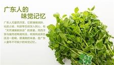 西洋菜的营养价值 西洋菜的功效与作用