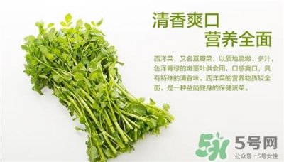 ​西洋菜的营养价值 西洋菜的功效与作用