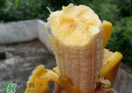 芭蕉是热性还是凉性？芭蕉是热性还是寒性？