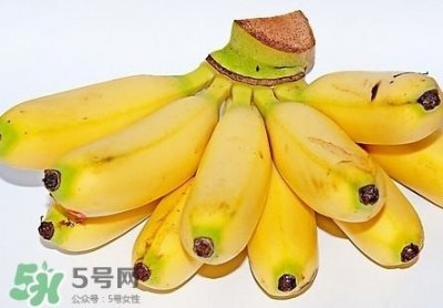​芭蕉是热性还是凉性？芭蕉是热性还是寒性？