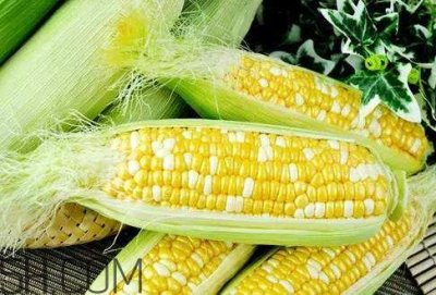​一根玉米可食部分多少克 一根玉米的可食用重量