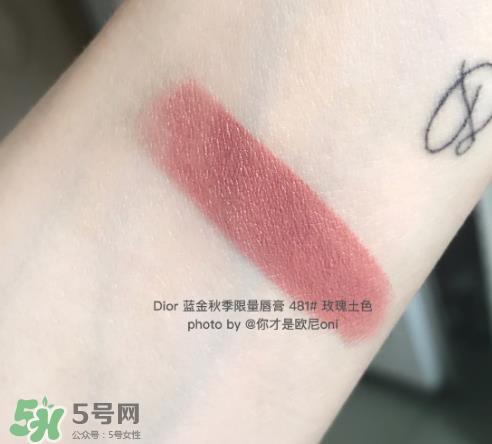 迪奥481口红试色 dior秋季限定唇膏481试色图