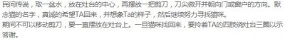 ​网上寻猫成功率极高的“剪刀大法”是什么？猫丢了正确做法该如何