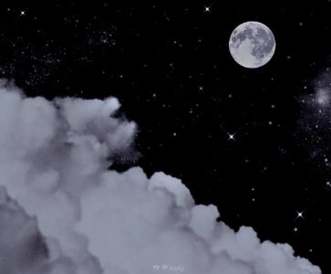 ​作者合集：蓝白色（现言+虐心）