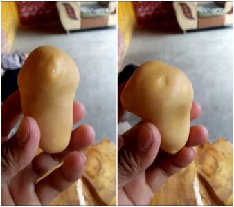 ​杀鸡后发现疑似“鸡宝”，主人犯难：该怎么处理呢？