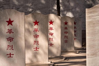 ​我国烈士的待遇是什么？其家属的待遇是什么？