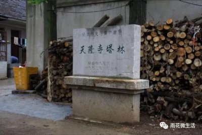 ​你不知道的天隆寺，原来是这样的
