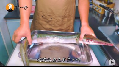 ​烹饪“针鱼”中的巨无霸，一斤就要48块，蓝色鱼鳞太漂亮