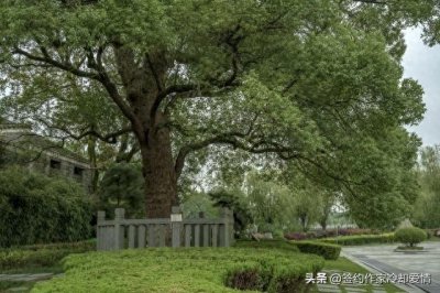 ​南昌的十大景点