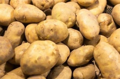 ​马铃薯是土豆吗？土豆是如何成为人类食物的？