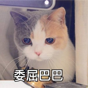 ​双十一抢购完就后悔了怎么办？转转帮你断舍离！