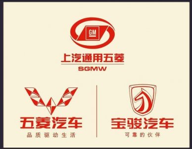 ​十多个国产车车标，有没有你爱车的份？哪一个车标才是你的最美？