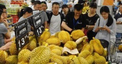​榴莲不会选购？牢记这5个小窍门，保证选到好吃肉多的榴莲
