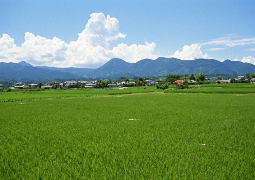 春天的田野图集