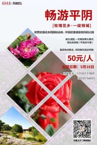 ​50元，带您畅游平阴玫瑰花乡