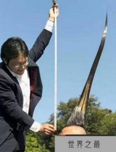 ​世界上最高的莫西干发型：1.18米
