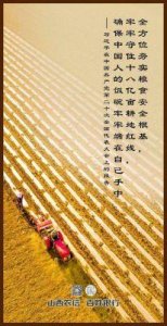 ​儿子耕种母亲的田地的寓意：明星分享传承责任背后故事