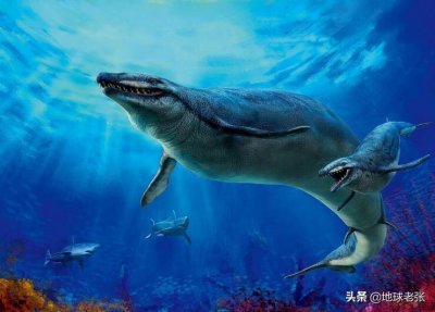 ​史前生物图鉴270-龙王鲸