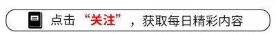 ​辛芷蕾和翟天临：演艺圈的坚韧恋曲