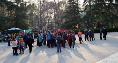 ​8元旅游团午餐白饭配腐乳，你会报名吗？