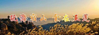 ​日照市教育局最新公告！