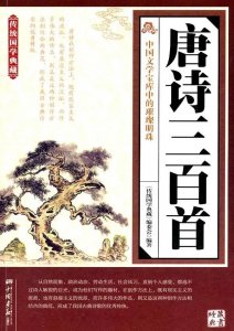 ​史上最霸气的古诗词句
