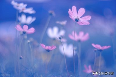 ​我不等你谁等你，我不等你我等谁，你不等我我等你