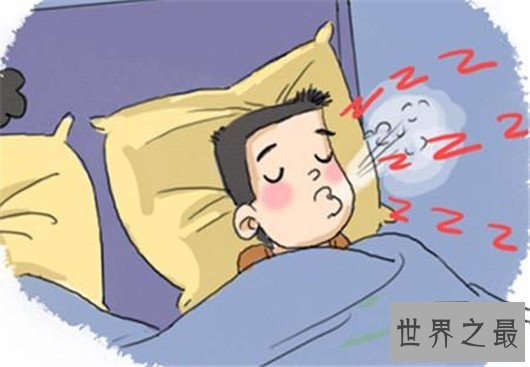 世界最大呼噜声居然是一只猫发出，最高可达七十分贝